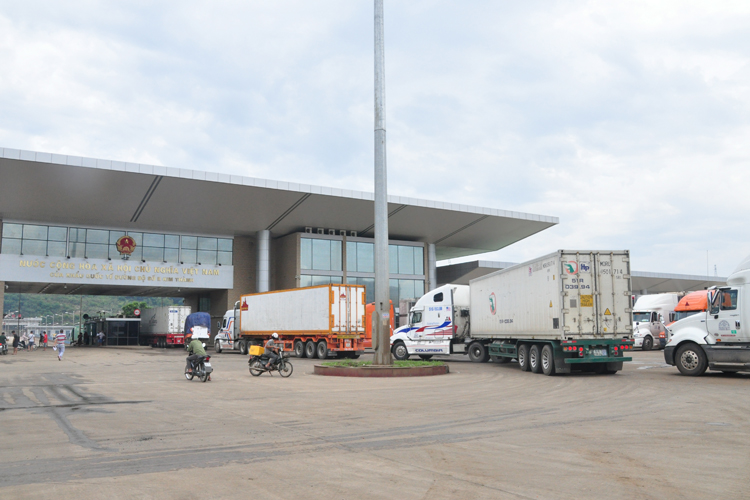 Chứng nhận phim cách nhiệt nhập khẩu