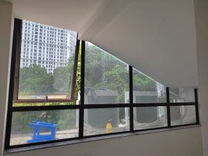 Vuong xanh 5