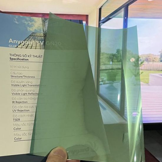 ANYGARD SV – GN 20